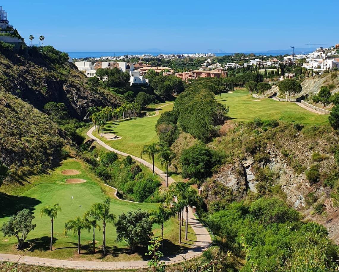 Alferini course green detail